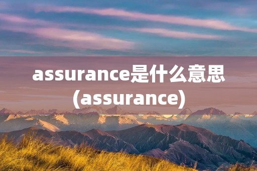 assurance是什么意思(assurance)