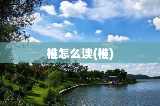 椎怎么读(椎)