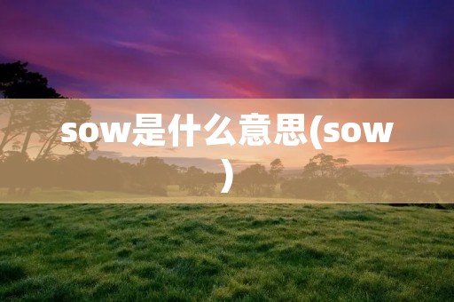 sow是什么意思(sow)