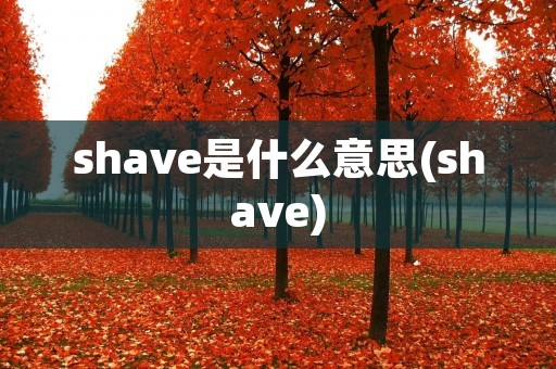 shave是什么意思(shave)