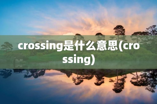crossing是什么意思(crossing)