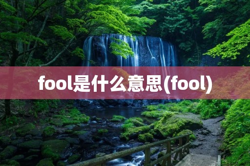 fool是什么意思(fool)