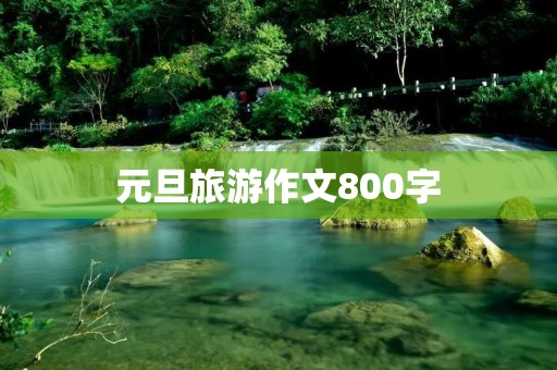 元旦旅游作文800字