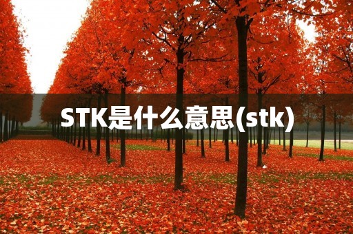 STK是什么意思(stk)