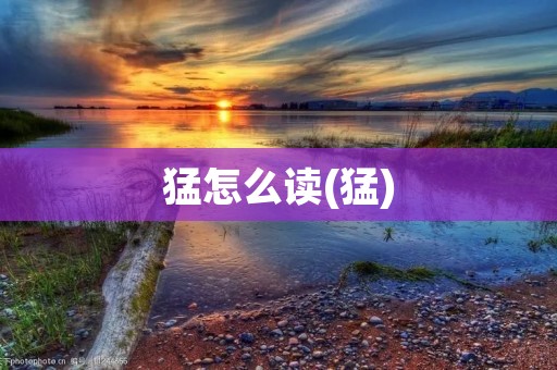 猛怎么读(猛)