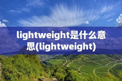 lightweight是什么意思(lightweight)