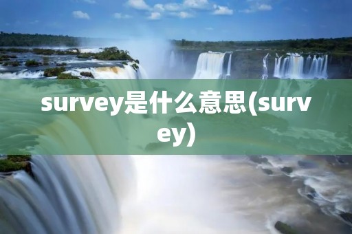 survey是什么意思(survey)