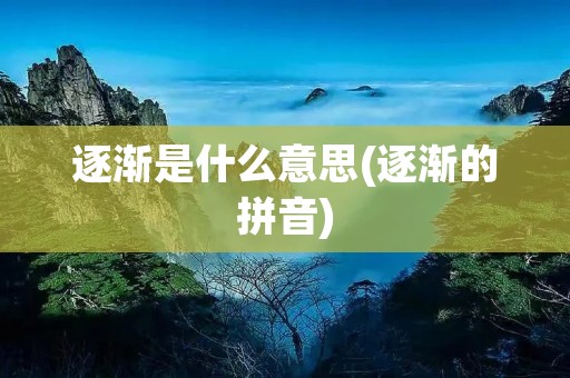 逐渐是什么意思(逐渐的拼音)