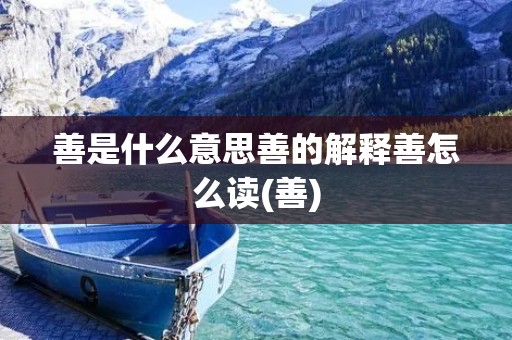 善是什么意思善的解释善怎么读(善)