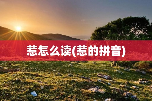惹怎么读(惹的拼音)