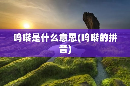 鸣啭是什么意思(鸣啭的拼音)