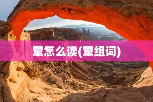 荤怎么读(荤组词)