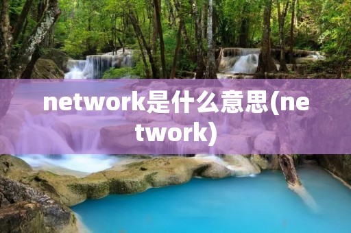network是什么意思(network)