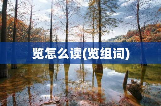 览怎么读(览组词)