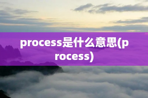 process是什么意思(process)