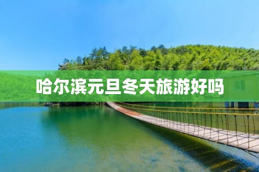 哈尔滨元旦冬天旅游好吗