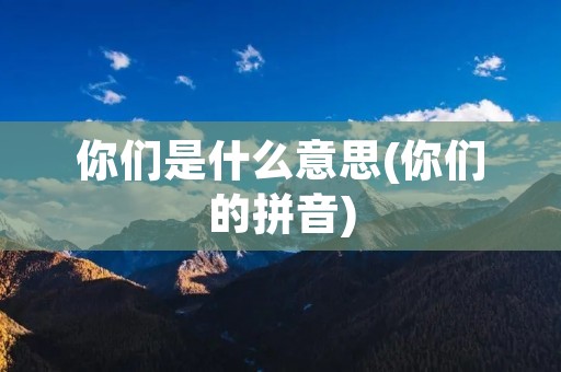 你们是什么意思(你们的拼音) 你们是什么意思(你们的拼音)
