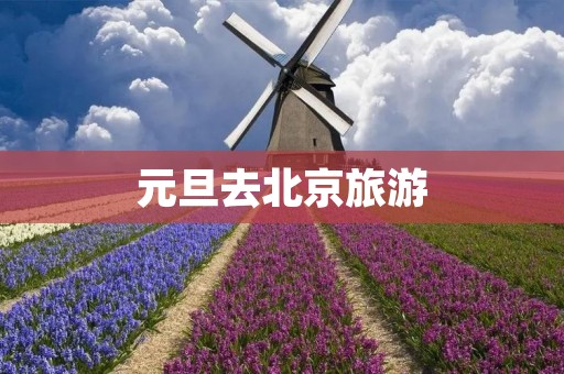 元旦去北京旅游 元旦去北京旅游