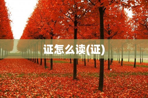 证怎么读(证)