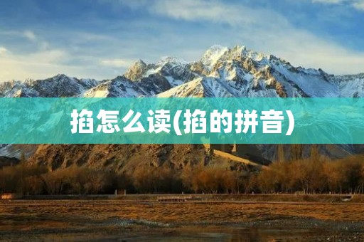 掐怎么读(掐的拼音)