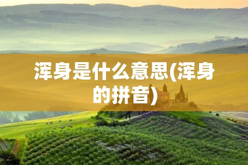 浑身是什么意思(浑身的拼音)