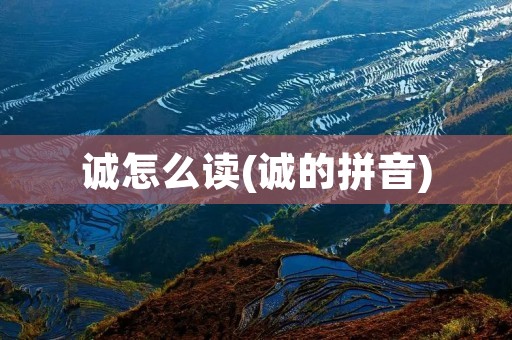 诚怎么读(诚的拼音)