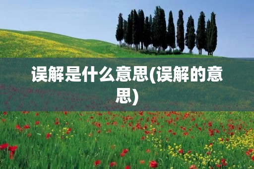误解是什么意思(误解的意思)