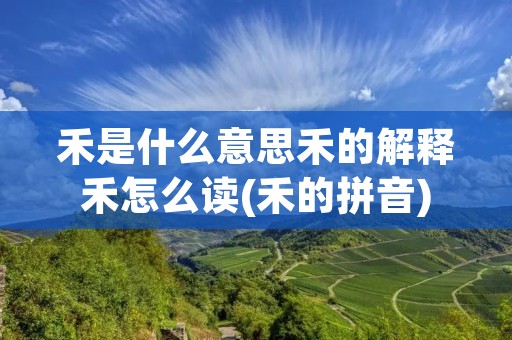 禾是什么意思禾的解释禾怎么读(禾的拼音) 禾是什么意思禾的解释禾怎么读(禾的拼音)