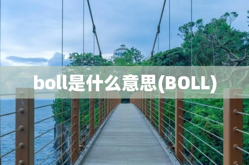 boll是什么意思(BOLL)
