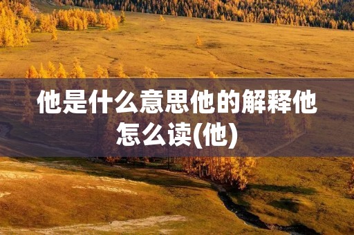 他是什么意思他的解释他怎么读(他)
