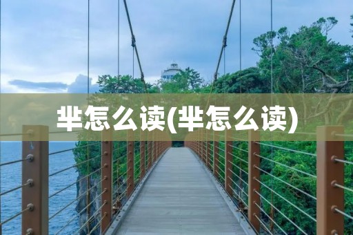 芈怎么读(芈怎么读)