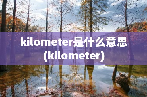 kilometer是什么意思(kilometer)