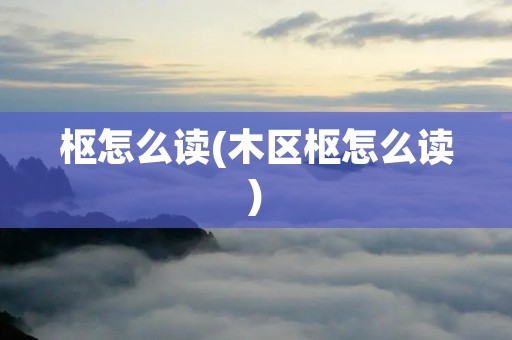 枢怎么读(木区枢怎么读)