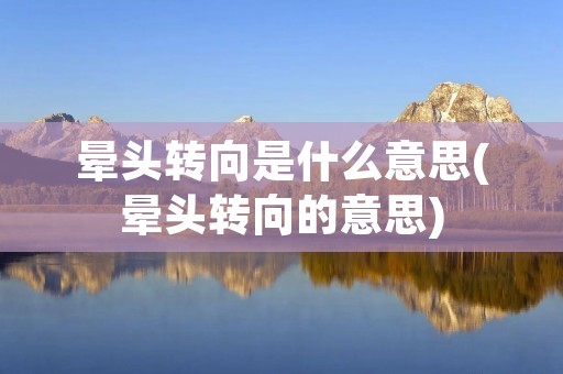 晕头转向是什么意思(晕头转向的意思)
