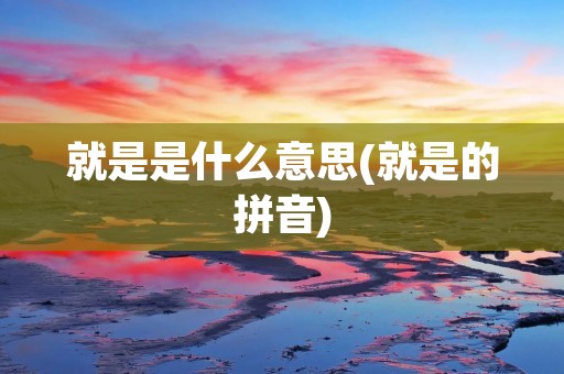 就是是什么意思(就是的拼音)