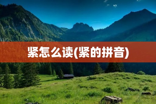 紧怎么读(紧的拼音)