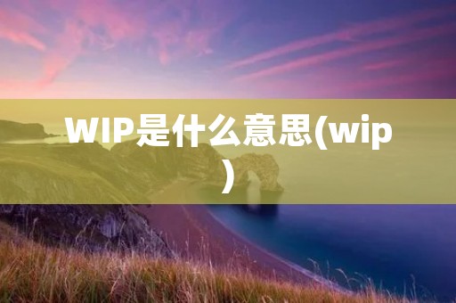 WIP是什么意思(wip)