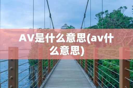AV是什么意思(av什么意思)