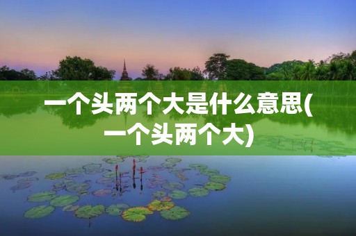 一个头两个大是什么意思(一个头两个大)