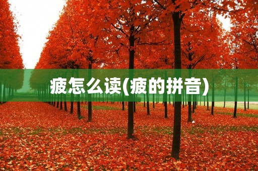 疲怎么读(疲的拼音)