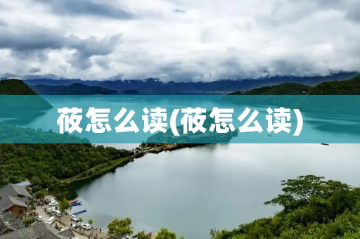 莜怎么读(莜怎么读)