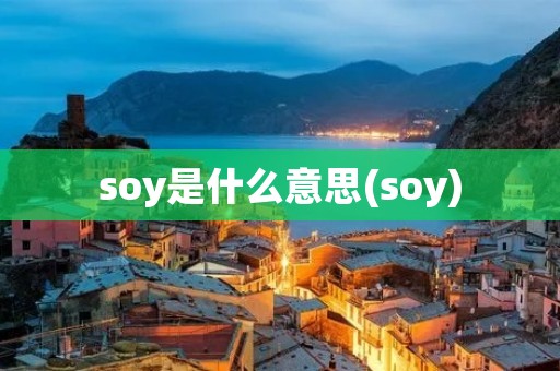 soy是什么意思(soy) soy是什么意思(soy)