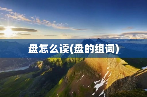 盘怎么读(盘的组词)