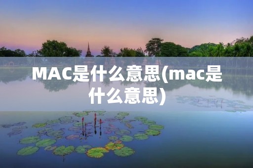 MAC是什么意思(mac是什么意思)