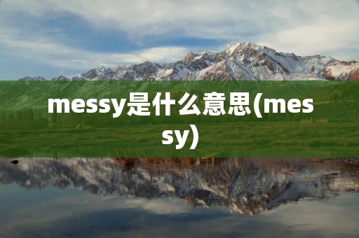 messy是什么意思(messy)
