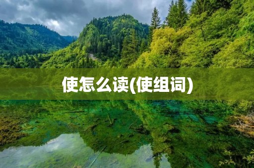 使怎么读(使组词) 使怎么读(使组词)