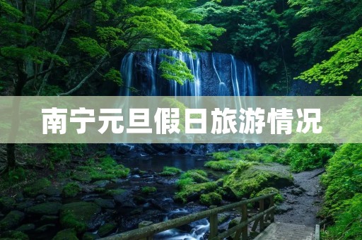 南宁元旦假日旅游情况