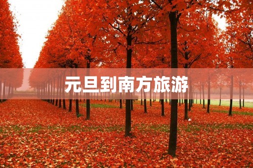 元旦到南方旅游