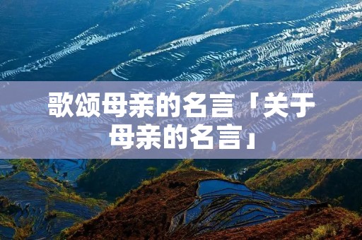 歌颂母亲的名言「关于母亲的名言」