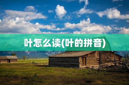 叶怎么读(叶的拼音)